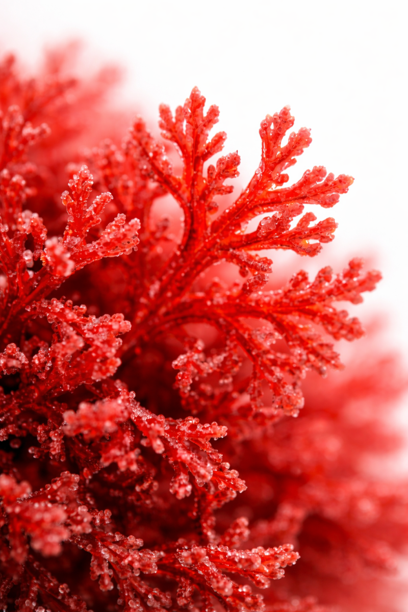 3F3B100B-7CDD-4847-AD4E-085DC31A1506